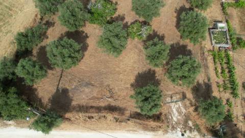 Terreno Para Construção  Venda em Santarém (Marvila), Santa Iria da Ribeira de Santarém, Santarém (São Salvador) e Santarém (São Nicolau),Santarém