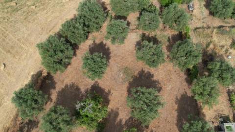 Terreno Para Construção  Venda em Santarém (Marvila), Santa Iria da Ribeira de Santarém, Santarém (São Salvador) e Santarém (São Nicolau),Santarém