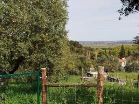 Terreno Para Construção  Venda em Santarém (Marvila), Santa Iria da Ribeira de Santarém, Santarém (São Salvador) e Santarém (São Nicolau),Santarém