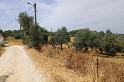 Terreno Para Construção  Venda em Santarém (Marvila), Santa Iria da Ribeira de Santarém, Santarém (São Salvador) e Santarém (São Nicolau),Santarém
