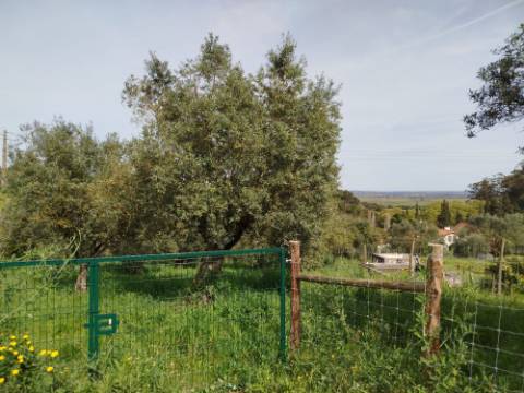 Terreno Para Construção  Venda em Santarém (Marvila), Santa Iria da Ribeira de Santarém, Santarém (São Salvador) e Santarém (São Nicolau),Santarém