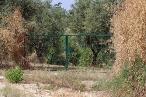 Terreno Para Construção  Venda em Santarém (Marvila), Santa Iria da Ribeira de Santarém, Santarém (São Salvador) e Santarém (São Nicolau),Santarém