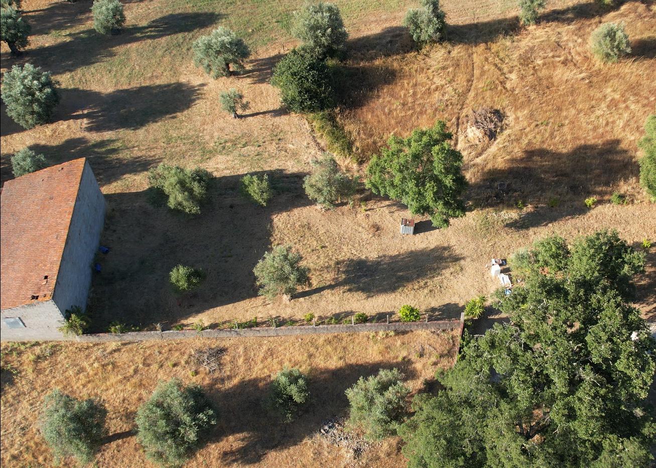 Terreno Para Construção  Venda em Arneiro das Milhariças,Santarém