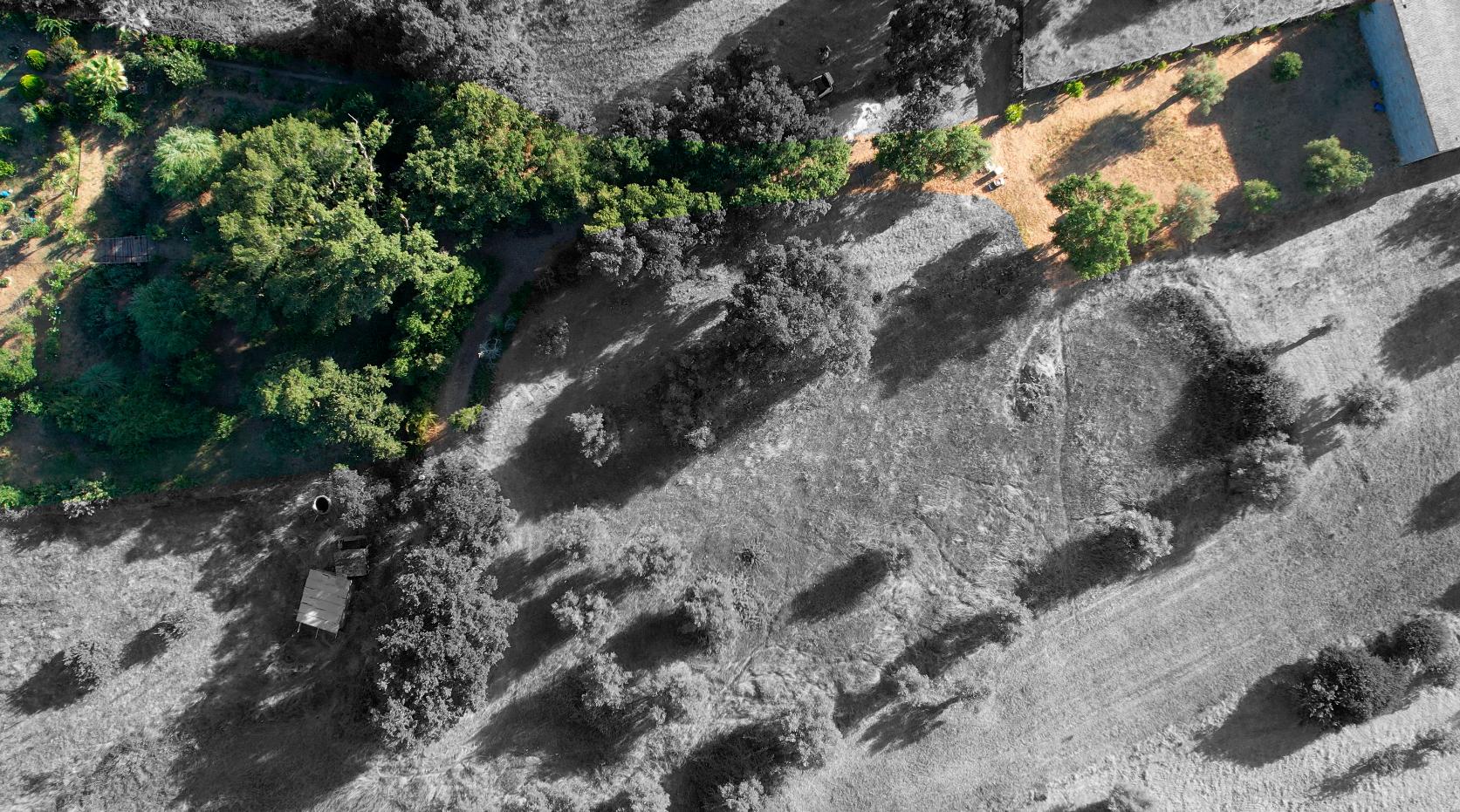 Terreno Para Construção  Venda em Arneiro das Milhariças,Santarém