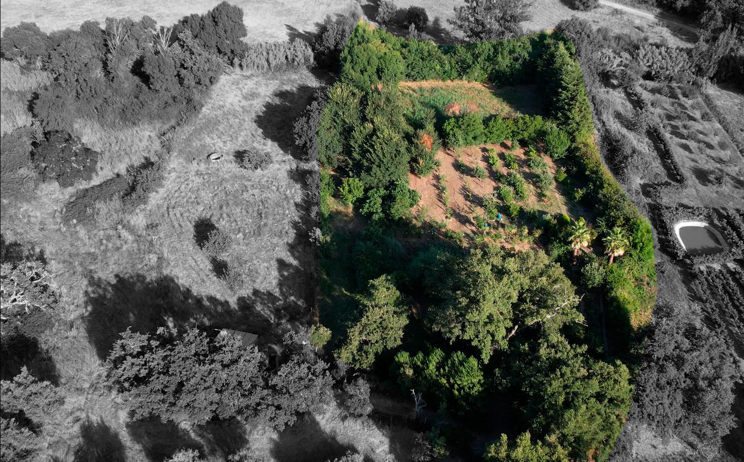 Terreno Para Construção  Venda em Arneiro das Milhariças,Santarém