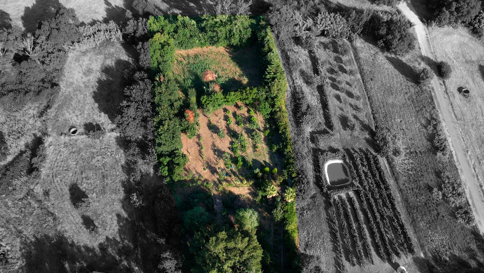 Terreno Para Construção  Venda em Arneiro das Milhariças,Santarém