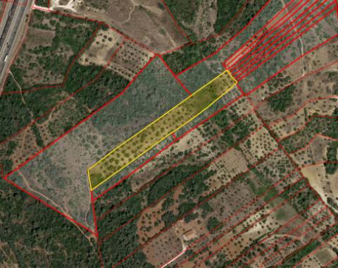 Terreno  Venda em Casével e Vaqueiros,Santarém