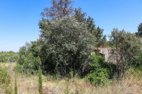 Terreno  Venda em Casével e Vaqueiros,Santarém