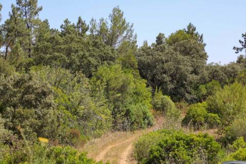 Terreno  Venda em Casével e Vaqueiros,Santarém