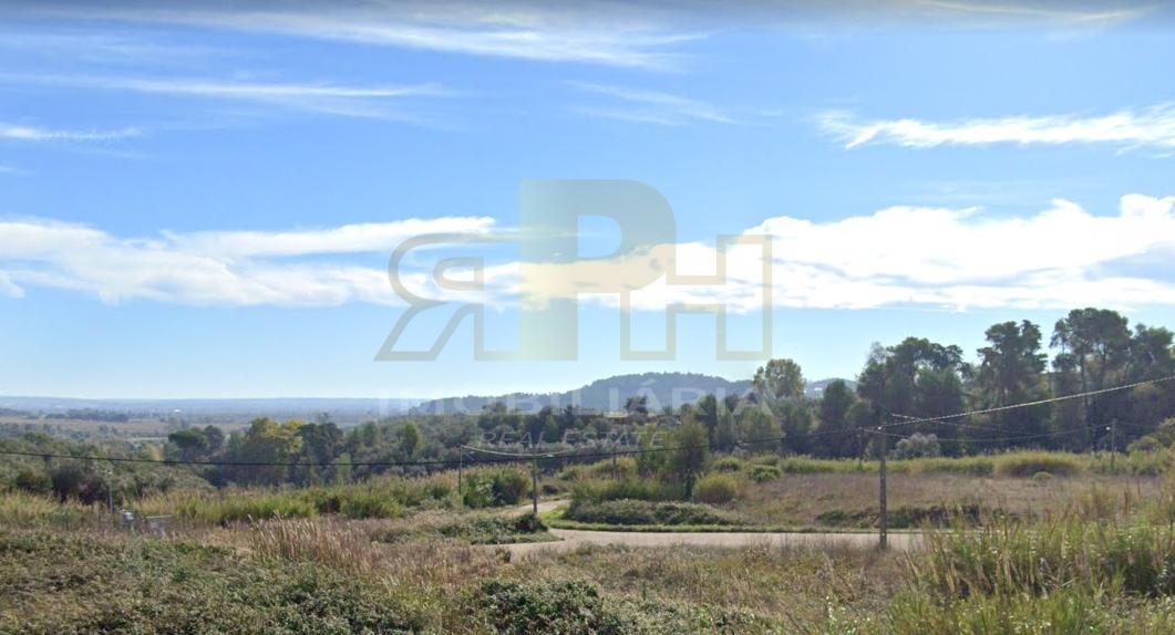 Terreno Urbano  Venda em Santarém (Marvila), Santa Iria da Ribeira de Santarém, Santarém (São Salvador) e Santarém (São Nicolau),Santarém