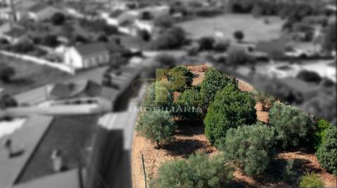 Lote de Terreno  Venda em Alcanhões,Santarém