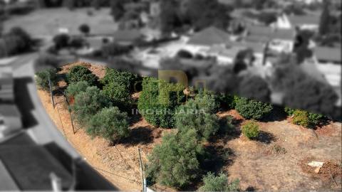 Lote de Terreno  Venda em Alcanhões,Santarém