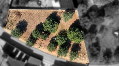 Lote de Terreno  Venda em Alcanhões,Santarém