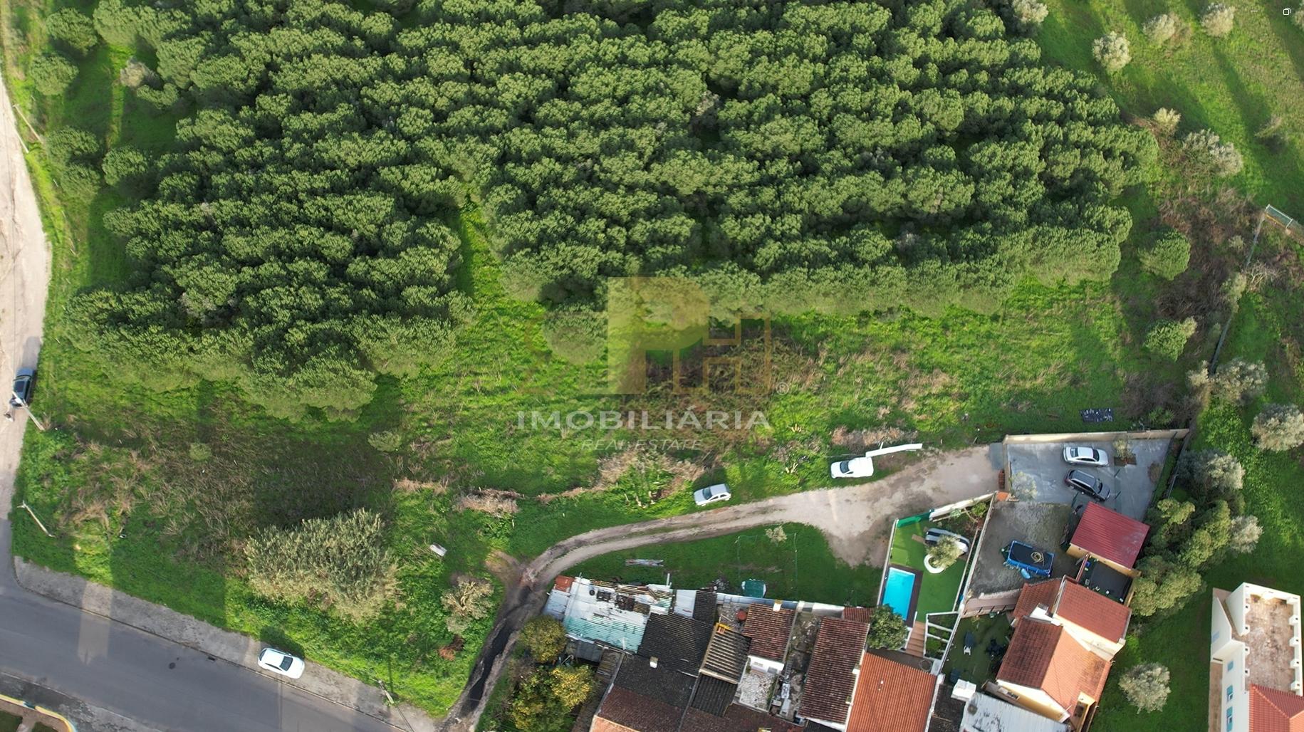 Terreno  Venda em Santarém (Marvila), Santa Iria da Ribeira de Santarém, Santarém (São Salvador) e Santarém (São Nicolau),Santarém