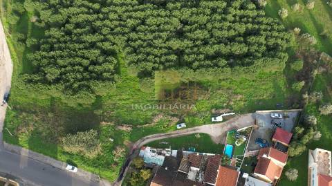 Terreno  Venda em Santarém (Marvila), Santa Iria da Ribeira de Santarém, Santarém (São Salvador) e Santarém (São Nicolau),Santarém