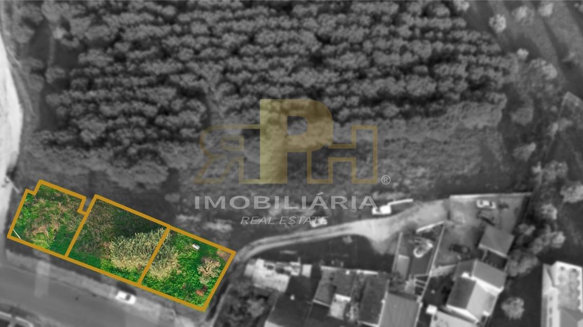 Terreno  Venda em Santarém (Marvila), Santa Iria da Ribeira de Santarém, Santarém (São Salvador) e Santarém (São Nicolau),Santarém