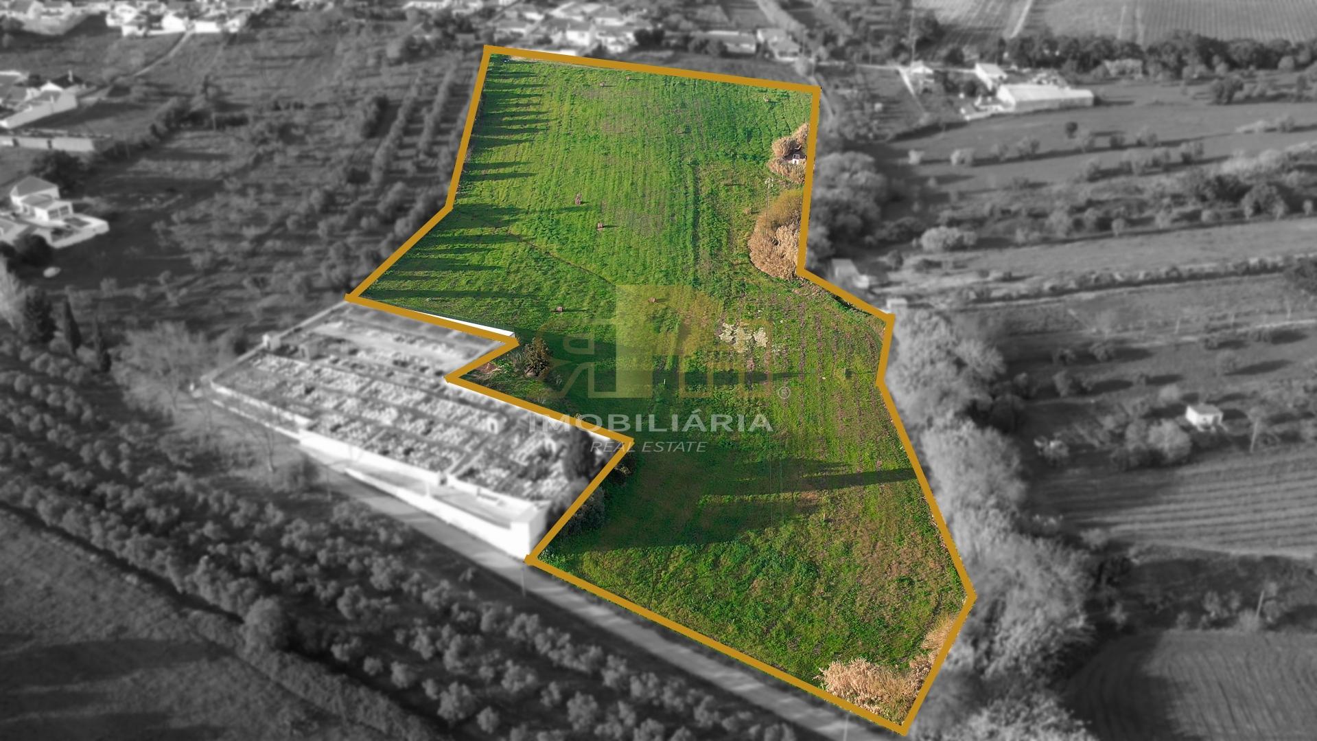 Terreno  Venda em São Vicente do Paul e Vale de Figueira,Santarém