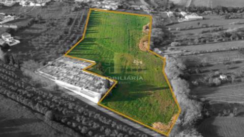 Terreno  Venda em São Vicente do Paul e Vale de Figueira,Santarém