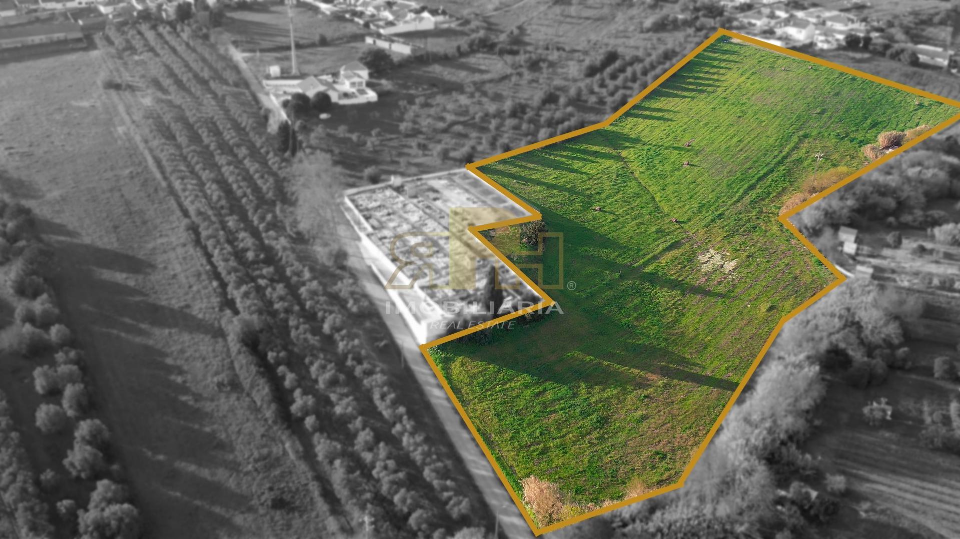 Terreno  Venda em São Vicente do Paul e Vale de Figueira,Santarém