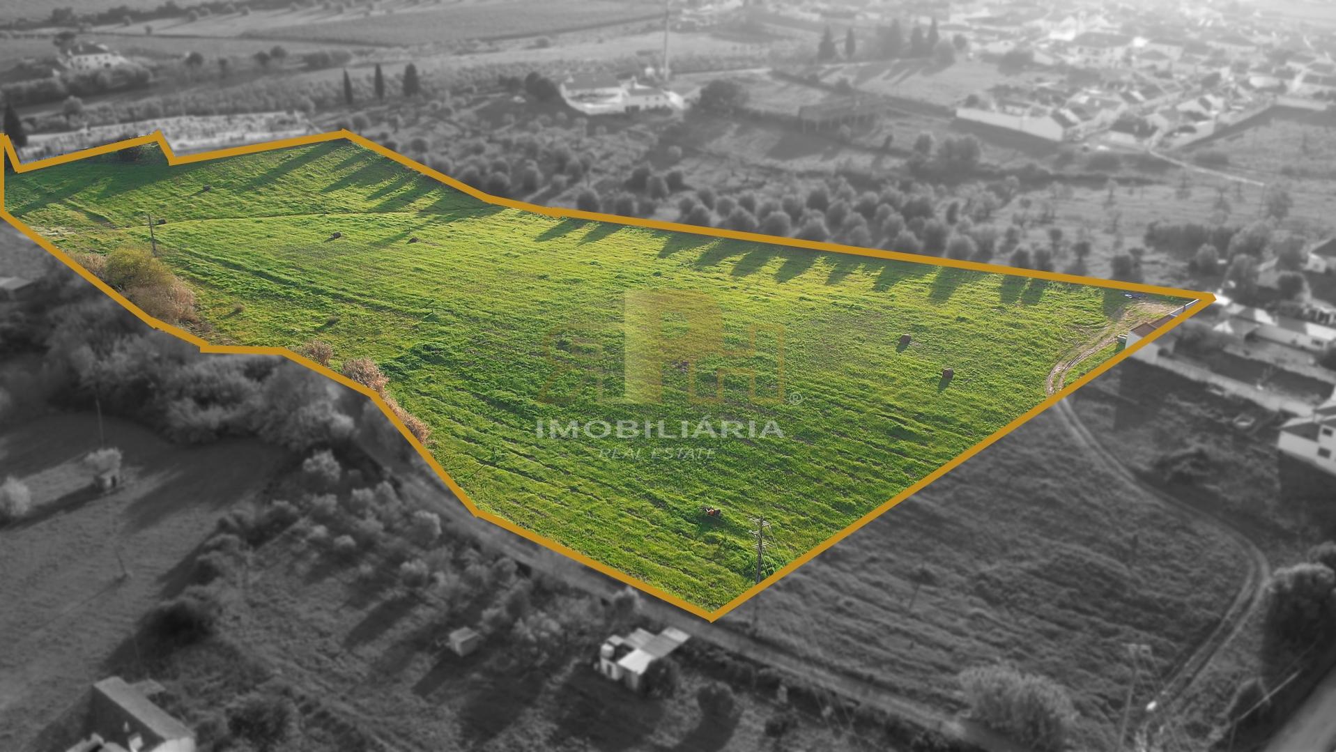 Terreno  Venda em São Vicente do Paul e Vale de Figueira,Santarém