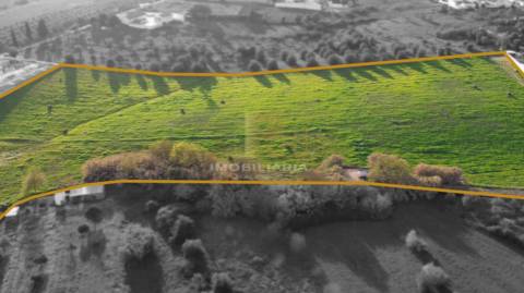 Terreno  Venda em São Vicente do Paul e Vale de Figueira,Santarém