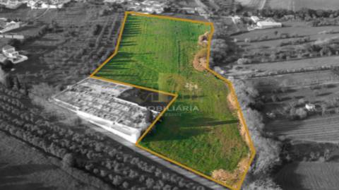 Terreno  Venda em São Vicente do Paul e Vale de Figueira,Santarém