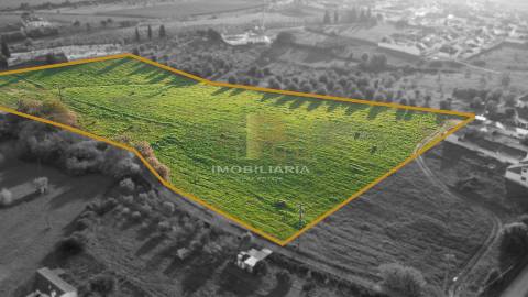 Terreno  Venda em São Vicente do Paul e Vale de Figueira,Santarém