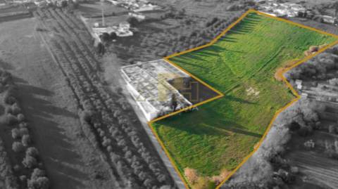 Terreno  Venda em São Vicente do Paul e Vale de Figueira,Santarém