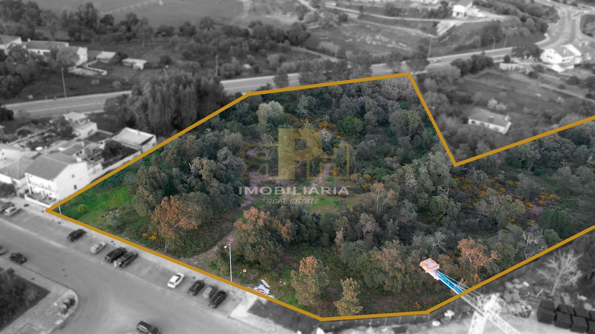 Terreno  Venda em Santarém (Marvila), Santa Iria da Ribeira de Santarém, Santarém (São Salvador) e Santarém (São Nicolau),Santarém