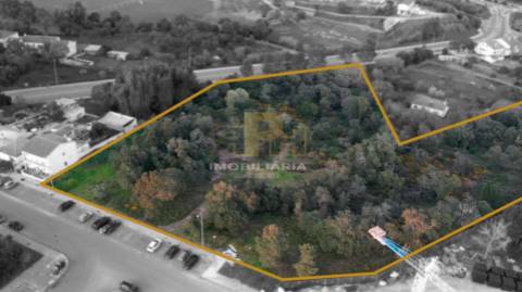 Terreno  Venda em Santarém (Marvila), Santa Iria da Ribeira de Santarém, Santarém (São Salvador) e Santarém (São Nicolau),Santarém