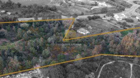 Terreno  Venda em Santarém (Marvila), Santa Iria da Ribeira de Santarém, Santarém (São Salvador) e Santarém (São Nicolau),Santarém