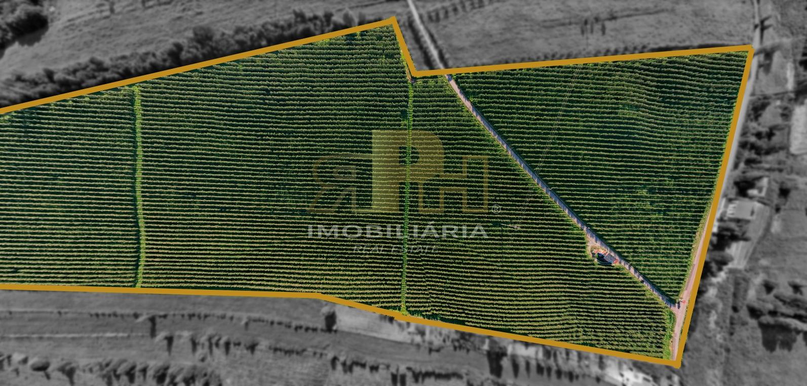 Terreno Rústico  Venda em Almoster,Santarém