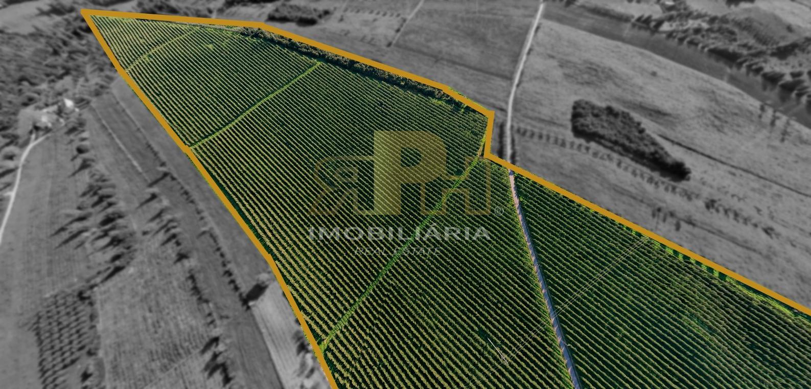 Terreno Rústico  Venda em Almoster,Santarém