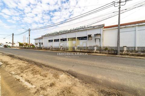 Armazém T6 Venda em Alcanhões,Santarém