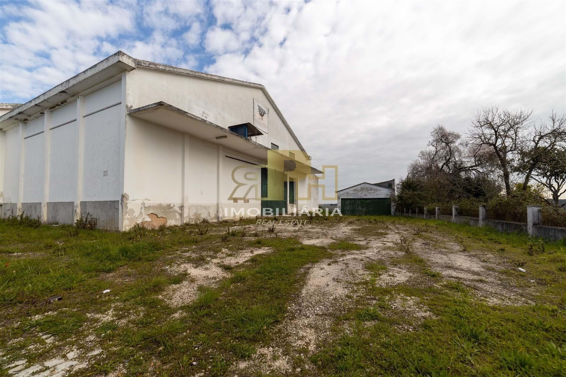 Armazém T6 Venda em Alcanhões,Santarém