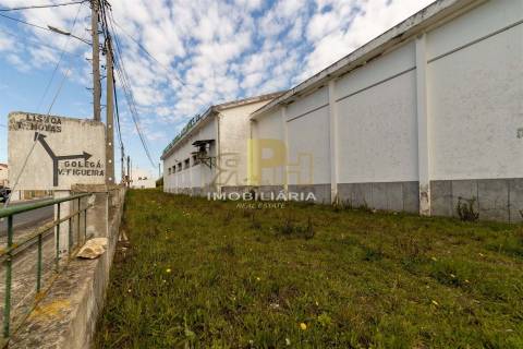 Armazém T6 Venda em Alcanhões,Santarém