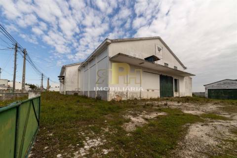 Armazém T6 Venda em Alcanhões,Santarém