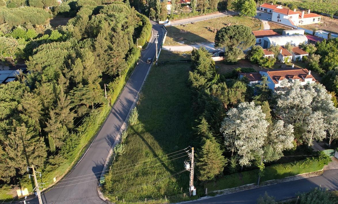 Terreno  Venda em Vale de Santarém,Santarém