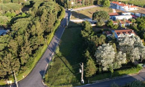 Terreno  Venda em Vale de Santarém,Santarém
