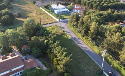 Terreno  Venda em Vale de Santarém,Santarém