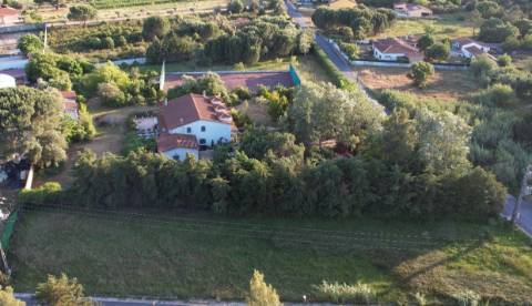 Terreno  Venda em Vale de Santarém,Santarém