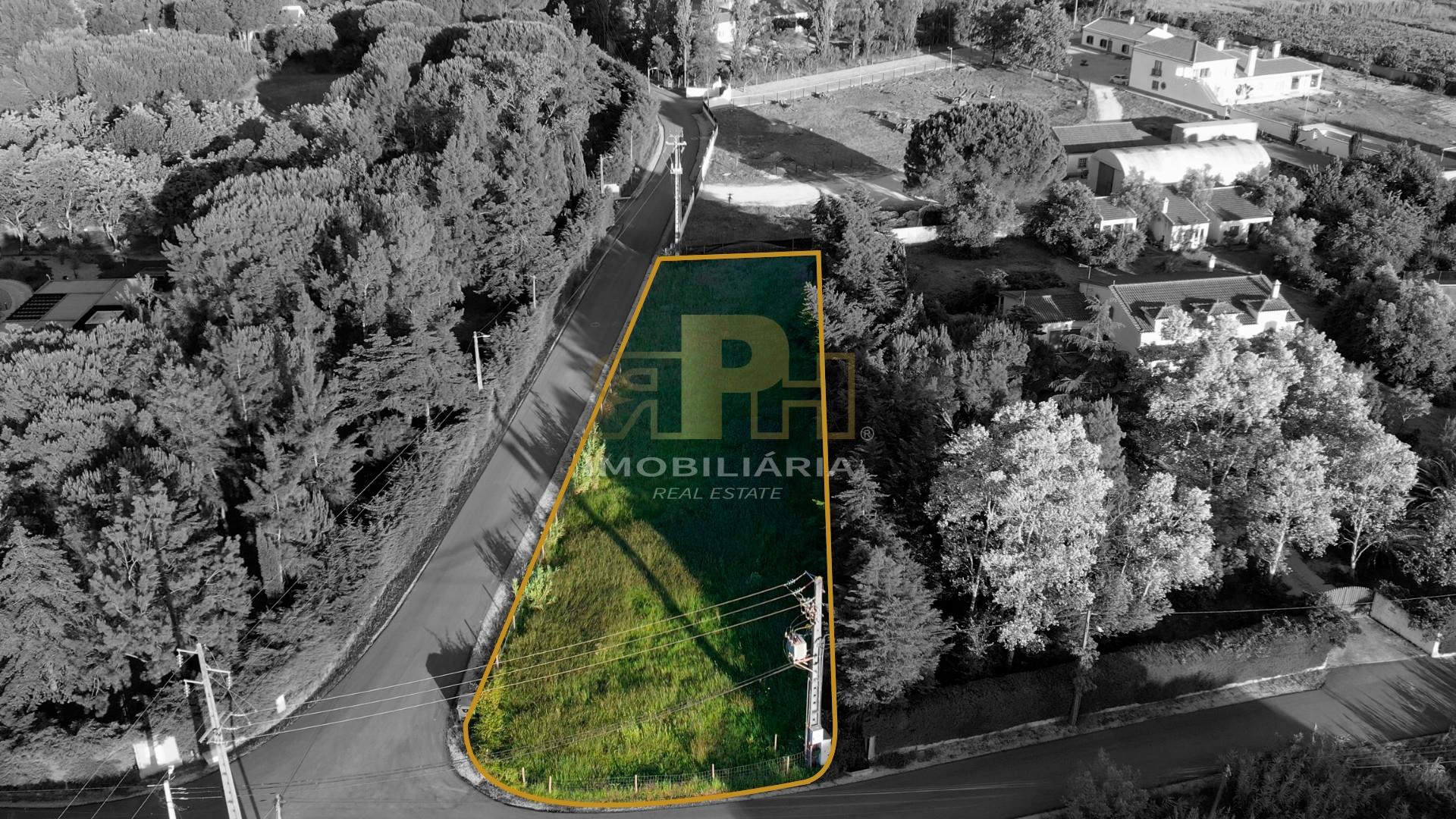 Terreno Urbano  Venda em Vale de Santarém,Santarém