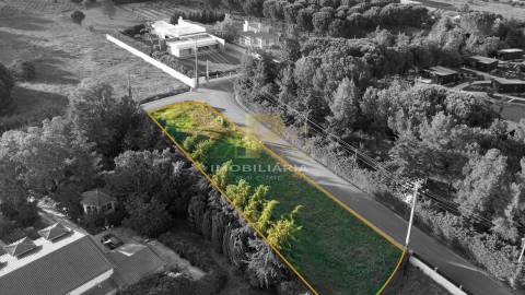 Terreno Urbano  Venda em Vale de Santarém,Santarém