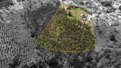 Moradia T5 Venda em Alcanede,Santarém