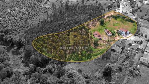 Moradia T5 Venda em Alcanede,Santarém