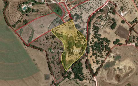 Moradia T2 Venda em Santarém (Marvila), Santa Iria da Ribeira de Santarém, Santarém (São Salvador) e Santarém (São Nicolau),Santarém