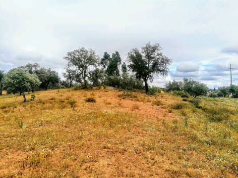 Terreno Rústico