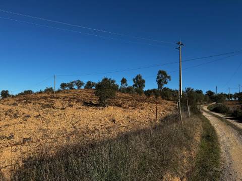 Terreno Rústico