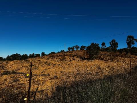 Terreno Rústico