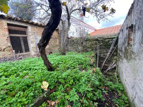 Ruína para recuperar em Santa Luzia concelho de Ourique